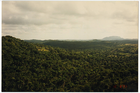 Yumurí Valley in the Matanzas Province, Cuba, 1993. Cuban Photograph Collection. Cuban Heritage Collection, University of Miami Libraries.